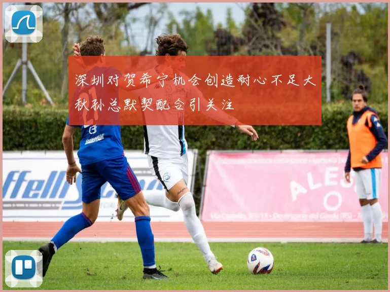 深圳对贺希宁机会创造耐心不足大秋孙总默契配合引关注