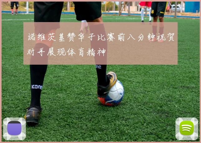 诺维茨基赞华子比赛前八分钟祝贺对手展现体育精神